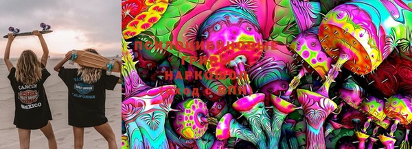 ECSTASY Абаза