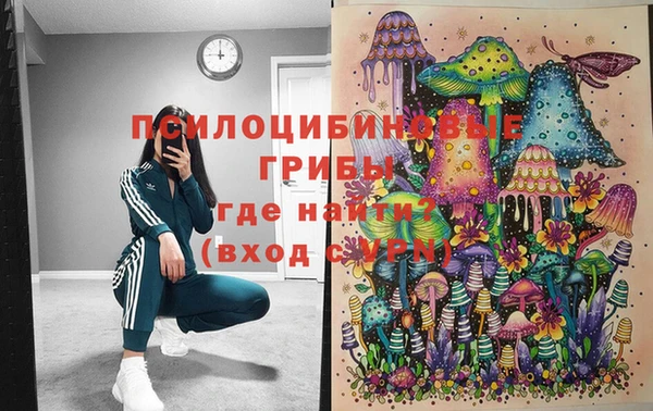 ECSTASY Абаза