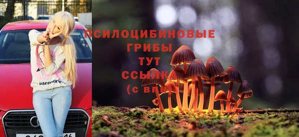 ECSTASY Абаза